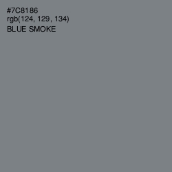 #7C8186 - Blue Smoke Color Image